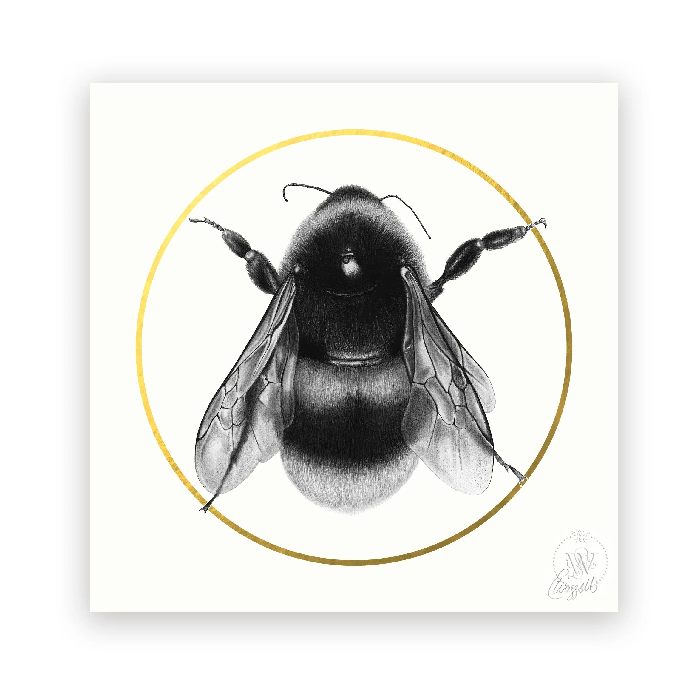 Bee — Elizabeth Waggett